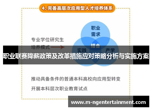 职业联赛降薪政策及改革措施应对策略分析与实施方案 职业联赛降薪政策及改革措施应对策略分析与实施方案